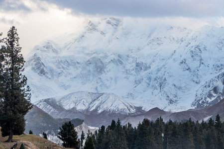 Nanga Parbat mountain in Gilgit-Baltistan region in Pakistanの写真素材
