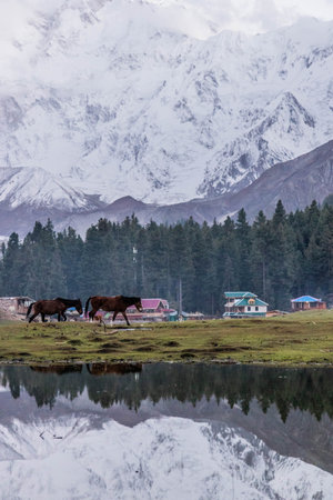 Reflection of Nanga Parbat mountain in Fairy Meadows in Gilgit-Baltistan region in Pakistanの写真素材