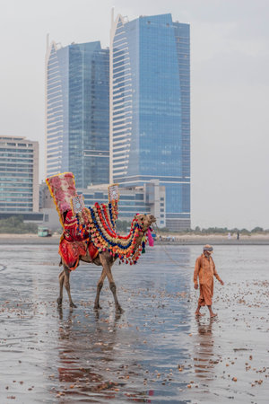 KARACHI, PAKISTAN - OCTOBER 31, 2023: Decorated camel at the Clifton Beach in Karachi, Pakistanのeditorial素材
