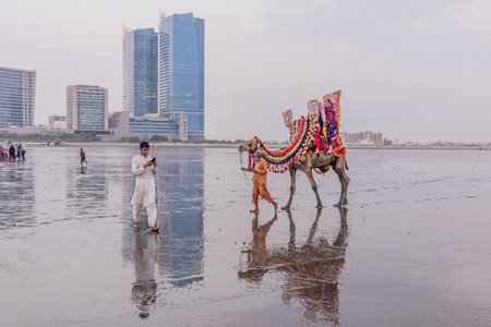 KARACHI, PAKISTAN - OCTOBER 31, 2023: Camel at the Clifton Beach in Karachi, Pakistanのeditorial素材