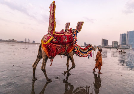 KARACHI, PAKISTAN - OCTOBER 31, 2023: Rides at a decorated camel offered at the Clifton Beach in Karachi, Pakistanのeditorial素材