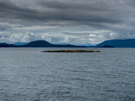 Hill with Seals from Ferry towards Whittier in Alaska United Staの写真素材