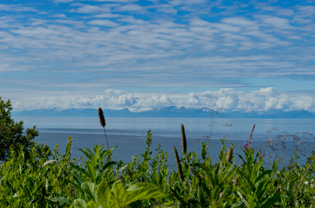 View across river with snow mountains and trees with cloudy skyの写真素材