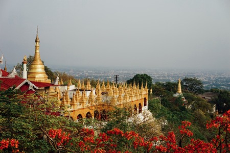 View across Paogda field with gold and flowers in Mandalay Myanmの写真素材