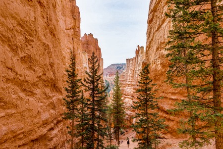 Bryce Canyon red rocks with nature trees sky sun in Utah USAの写真素材