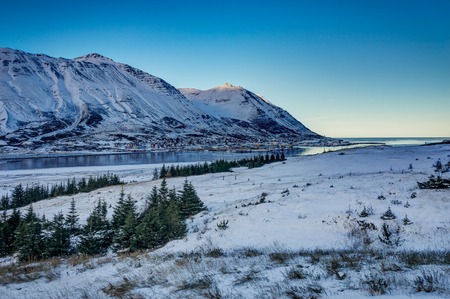 Iceland winter landscape view with blue sky and trees and  sunliの写真素材