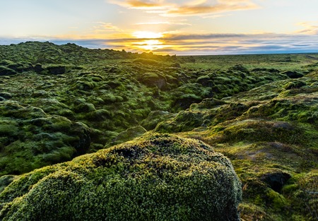 Sunset over Iceland Landscape with green moss during golden hourの写真素材