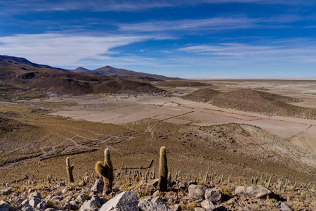 View over Altiplano Desert Atacama Boliviaの写真素材