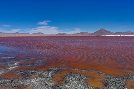 Pink Flamingos at Laguna Colorada Altiplano Boliviaの写真素材