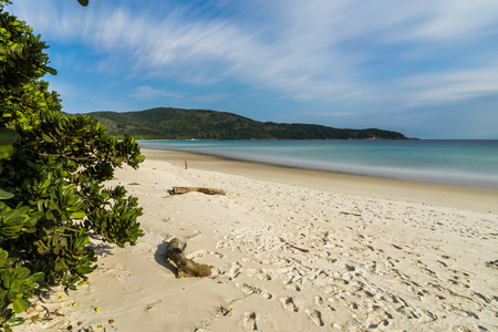 Long Exposure Lopes Mendes Beach in Ilha Grande south of Rio deの写真素材