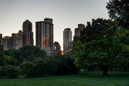 New York Central Park with Skyline View Sunset trees cloudsの写真素材