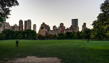 New York Central Park with Skyline View Sunset trees cloudsの写真素材