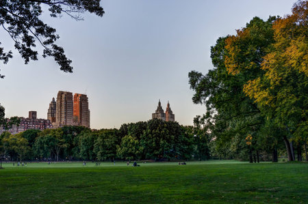 New York Central Park with Skyline View Sunset trees cloudsの写真素材