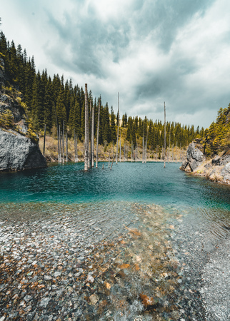 The sunken forest of Lake Kaindy. Lake Kaindy, meaning the "birch tree lake" is a 400-meter-long lake in Kazakhstan that reaches depths near 30 meters in some areas.の写真素材