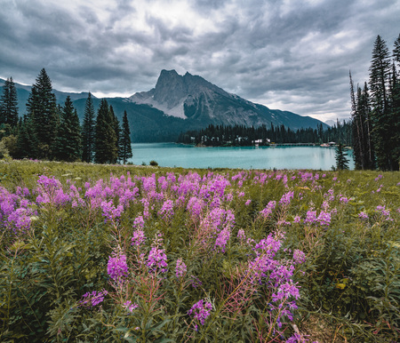 Emerald Lake in Canadian Rockies with mountains and lake and trees. Concept of active vacation and tourism.の写真素材