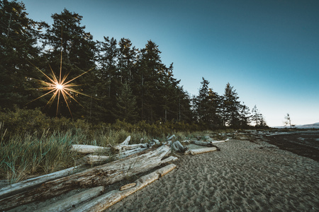 Vancouver Island beach view on a clear blue sky with sunstar and pacific coast. Canada.