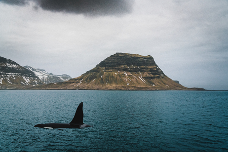 Kirkufell Mountain (Church Mountain in English) overlooking Grundarfjordur Bay on the Snaefellsnes...