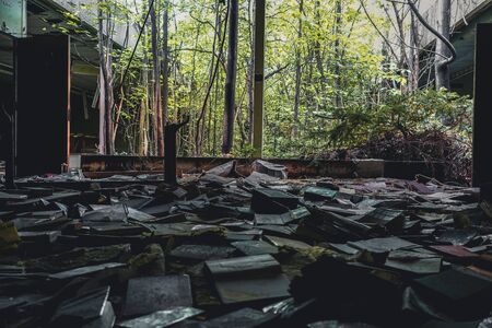 Detroit, Michigan, May 18, 2018: Interior view of abandoned and damaged George Ferris School in Detroit. Like other schools in Highland Park, Ferris went into a decline in enrollment numbers that it never recovered from, and closed in the late 90s. There のeditorial素材