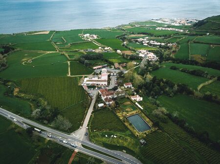 Green tea terrace plantation Gorreana in fog from above, drone shot, Azores islands. The oldest, and currently only, tea plantation in Europe. Bird eye view, aerial panoramic view.の写真素材