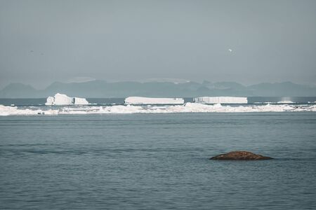 Stranded icebergs in the fog at the mouth of the Icefjord near Ilulissat. Nature and landscapes of Greenland. Travel on the vessel among ices. Phenomenon of global warming. Coast in the sunset. Photo taken in Greenland.の写真素材