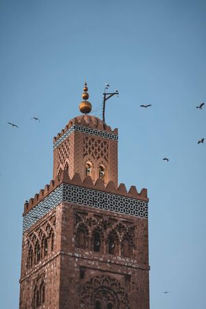 Huge flock of storks flying around the minaret of the Koutoubia mosque in the medina of Marrakech, Morocco. Captured during sunset in twilight.の写真素材