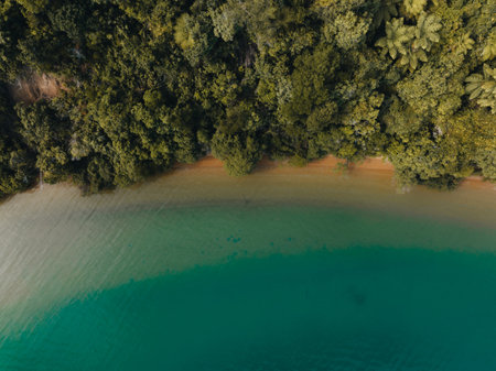 Aerial view of Marlborough sounds, Kenepuru, South Island, New Zealand.