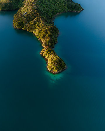 Aerial view of Marlborough sounds, Kenepuru, South Island, New Zealand.の素材 [FY310207000778]