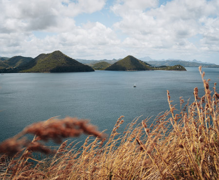 Yachts anchoring in famous Rodney Bay, Saint Lucia, West indiesの写真素材