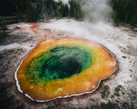 Morning Glory Pool, hot spring in the Upper Geyser Basin of Yellowstone National Park, Wyoming, USA.の写真素材