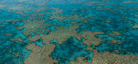 Aerial view of Great Barrier Reef coral reef structure in Whitsundays, Aerilie beach, Queensland, Australiaの写真素材