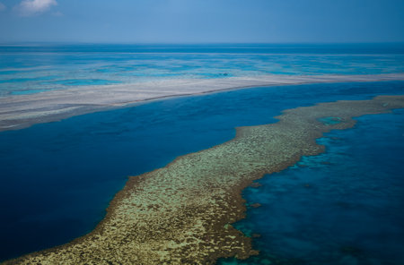 Aerial view of Great Barrier Reef coral reef structure in Whitsundays, Aerilie beach, Queensland, Australiaの写真素材
