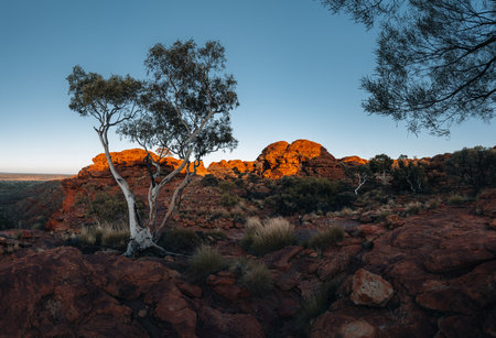 Panoramic view of Kings Canyon, Sunrise and Sunset in Central Australia, Northern Territory,...