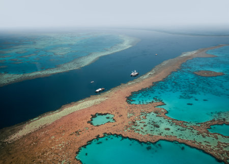 Aerial view of Great Barrier Reef coral reef structure in Whitsundays, Aerilie beach, Queensland,...