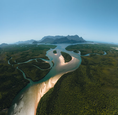 Aerial view of Mangroves in Hinchinbrook National Park. Mountains, rivers and Ramsay Bay Beach along the Thorsborne Trail on Hinchinbrook Islandの写真素材