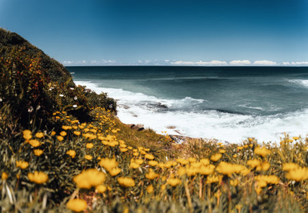 Landscape nature of cliff with ocean at Royal national park coastal walk in Sydney NSW Australia - Nature travel track from Wattamolla. Travel outdoor and Picnic Activityの写真素材