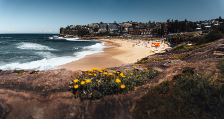 Landscape nature of cliff with ocean at Royal national park coastal walk in Sydney NSW Australia - Nature travel track from Wattamolla. Travel outdoor and Picnic Activityの写真素材