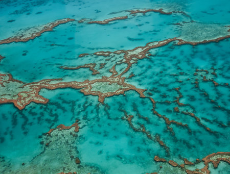 Aerial view of Great Barrier Reef coral reef structure in Whitsundays, Aerilie beach, Queensland, Australiaの写真素材