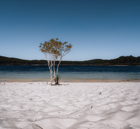 Aerial Drone shot Lake McKenzie, Fraser Island also called kgari, Queensland QLD, Australia.の写真素材
