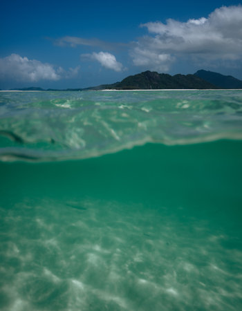 Half-submerged in clean transparent green salt water of coral sea at white silica Whitehaven beach on Whitsunday island of Great Barrier Reef, Australia.の写真素材
