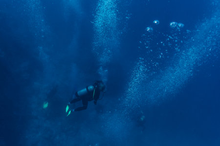 Vibrant coral reef with hundreds of glass fish at the SS Yongala ship wreck, Great Barrier Reef,...