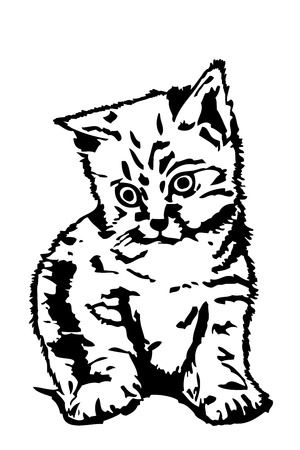 Handmade Babycat vector designのイラスト素材