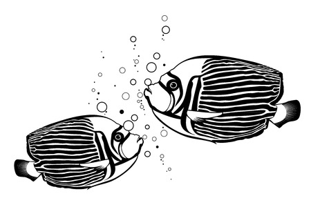 Handmade Reef Fishs Vector Designのイラスト素材