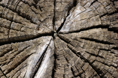 Old Wood Textureの写真素材