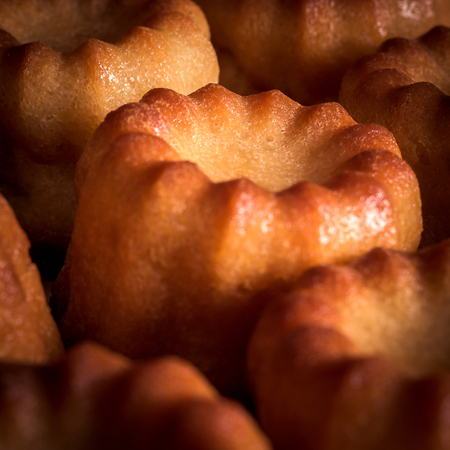 Caneles from Bordeauxの写真素材