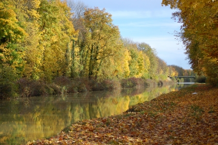 autumn landscapeの写真素材