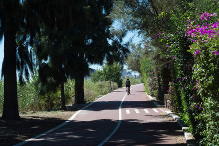 Rear view of a man riding a bike on a road in a parkの写真素材