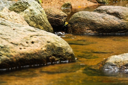 The way of wafer from waterfall in summberの写真素材