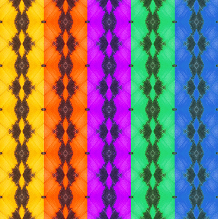 Five colorful texture from butterfly wing with clipping path