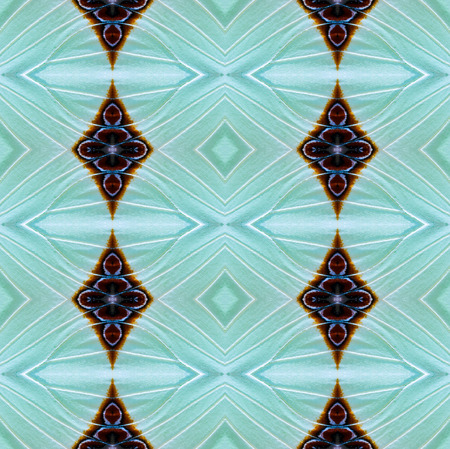 Texture from butterfly wing for background