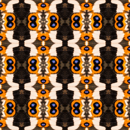 Background graphic from texture of butterfly wing